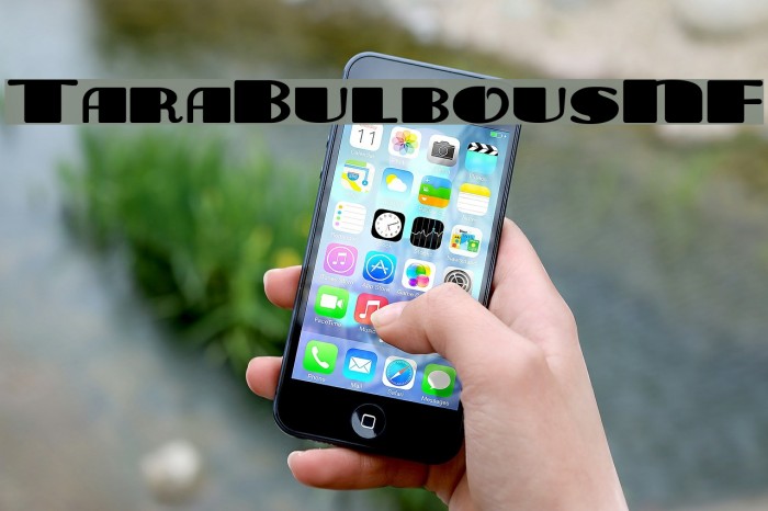 TaraBulbousNF Font examples
