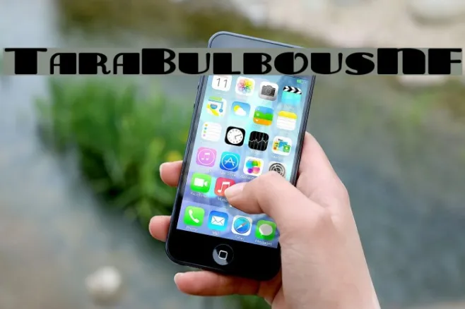 TaraBulbousNF Example 2