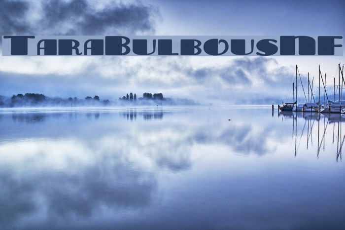 TaraBulbousNF Font examples