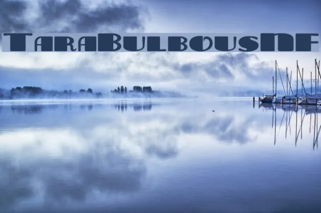 TaraBulbousNF Example 3