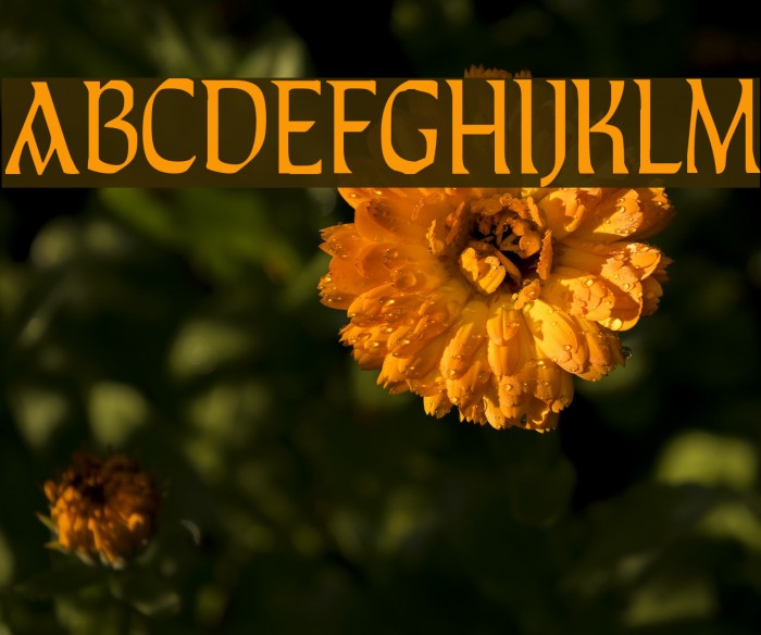TaraType Font examples