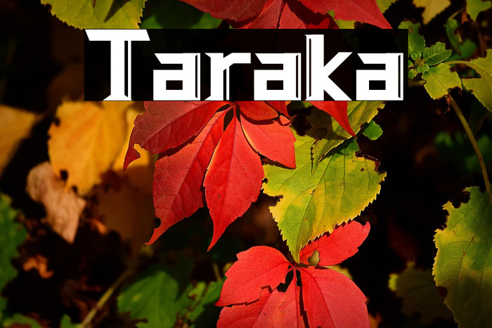 Taraka Example 1