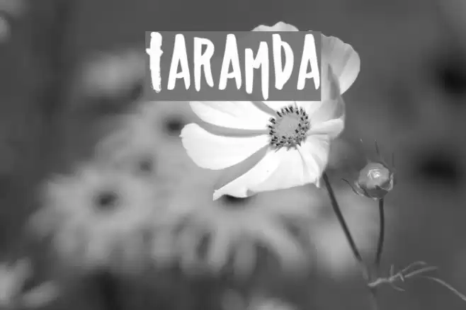 Taramda Polices examples