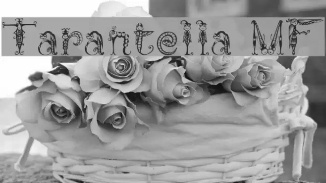 Tarantella MF Font examples