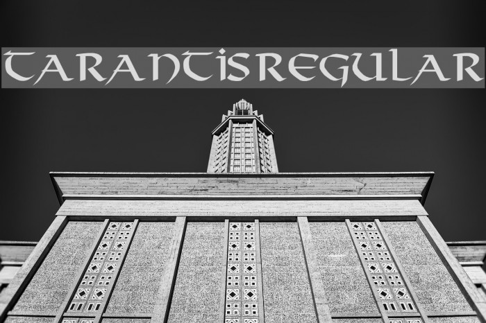 Tarantis Regular Font examples