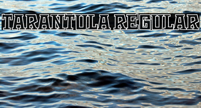 Tarantula Regular Example 1