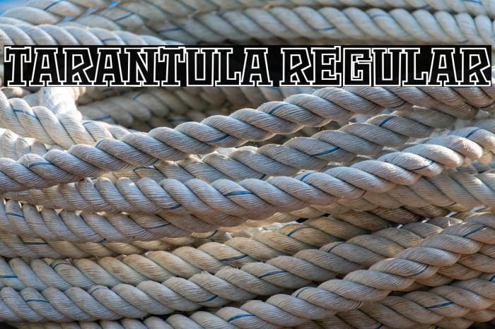 Tarantula Regular Example 2