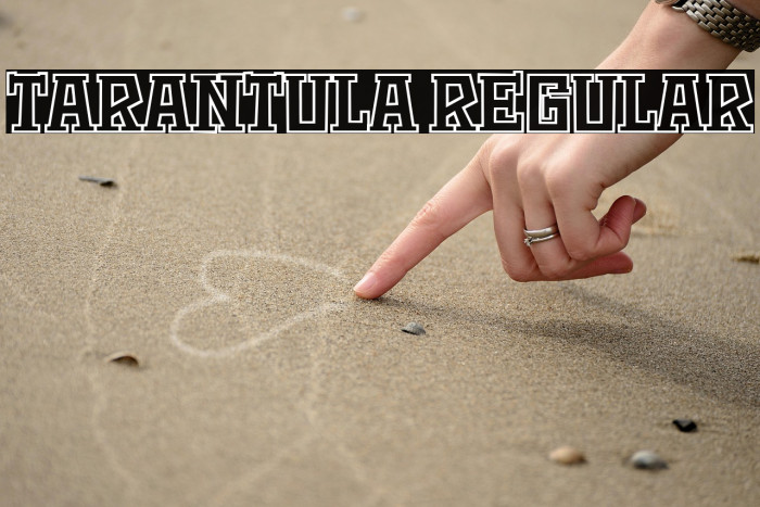 Tarantula Regular Example 3