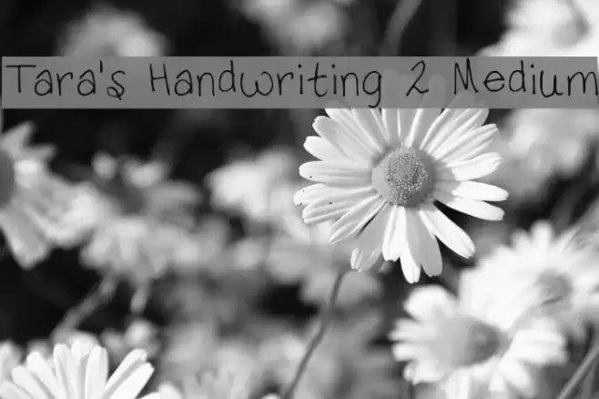 Tara's Handwriting 2 Medium Font examples