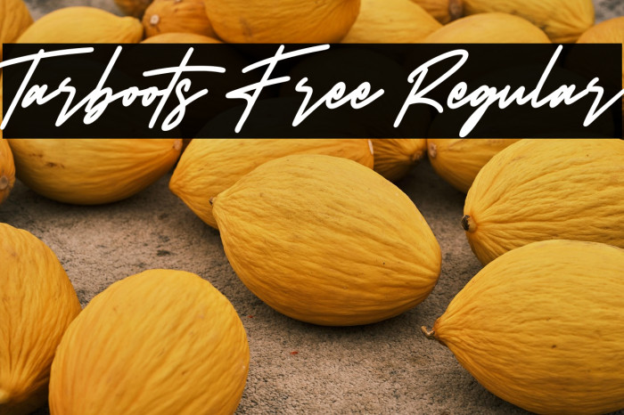 Tarboots Free Regular Example 3
