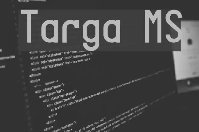 Targa MS Caratteri examples