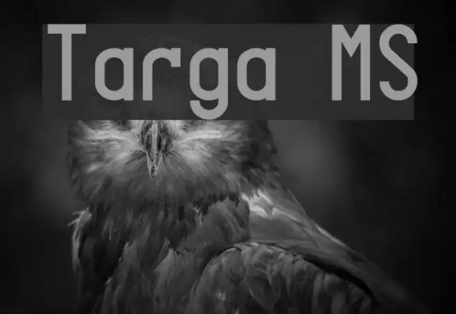 Targa MS Caratteri examples