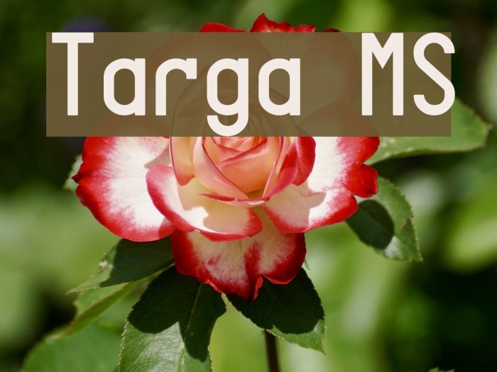 Targa MS Caratteri examples