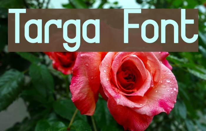 Targa Font examples