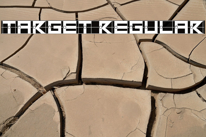 Target Regular Example 2