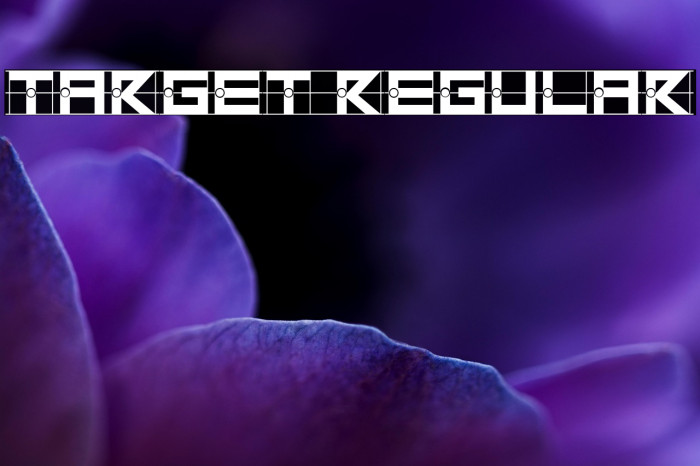 Target Regular Example 3