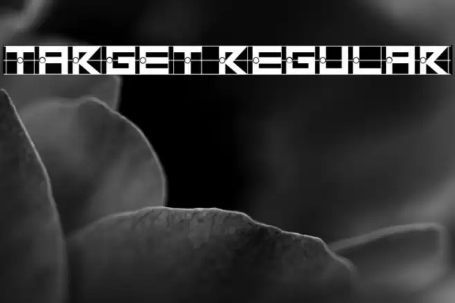 Target Regular Fuentes examples