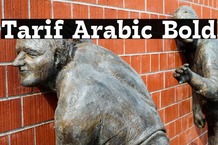 Tarif Arabic Bold Example 1