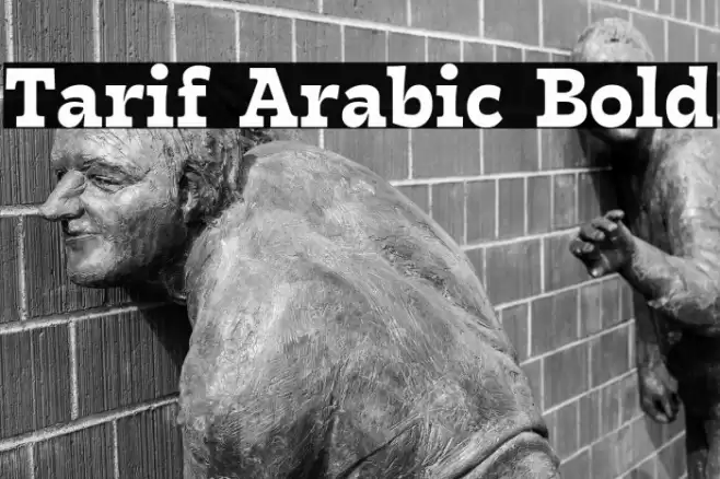 Tarif Arabic Bold Font examples