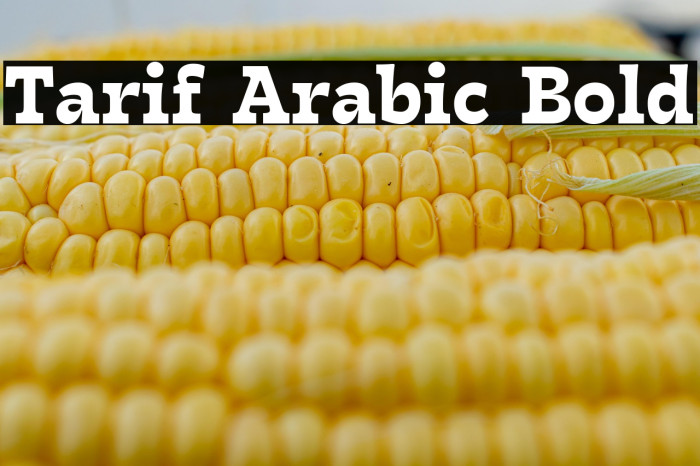 Tarif Arabic Bold Example 2