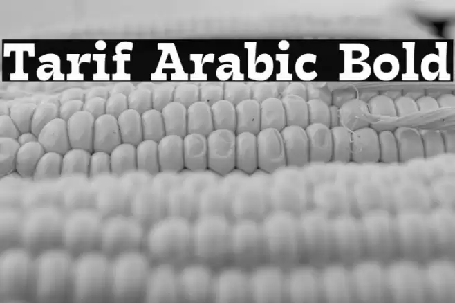 Tarif Arabic Bold Font examples
