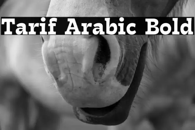 Tarif Arabic Bold Font examples