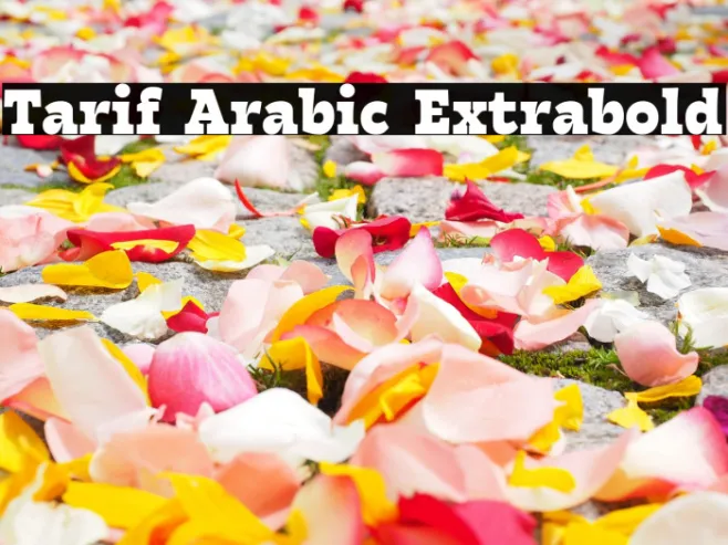 Tarif Arabic Extrabold Example 1