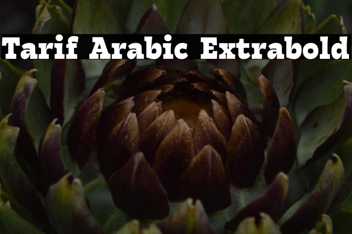 Tarif Arabic Extrabold Example 2