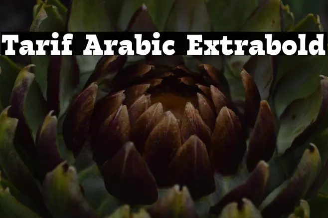 Tarif Arabic Extrabold Example 2