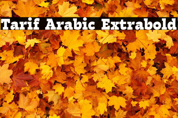 Tarif Arabic Extrabold Example 3