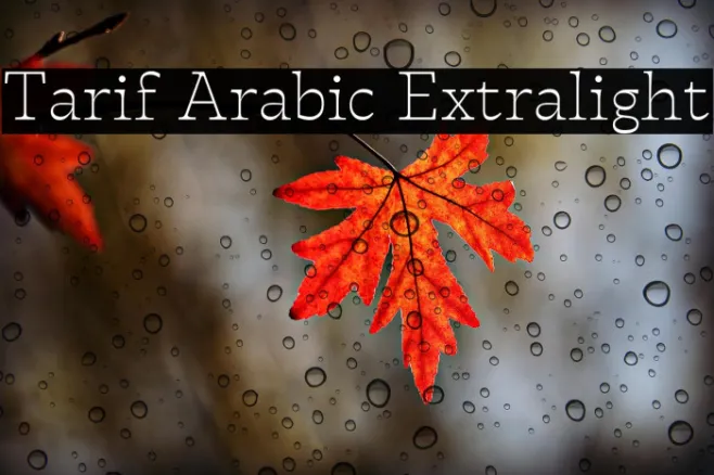 Tarif Arabic Extralight Example 2