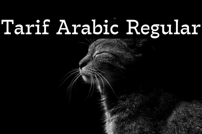 Tarif Arabic Regular Example 2