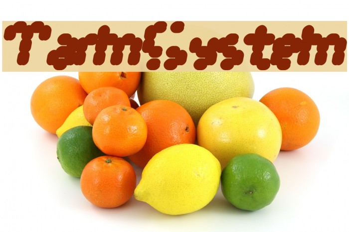 TarmSystem Font examples