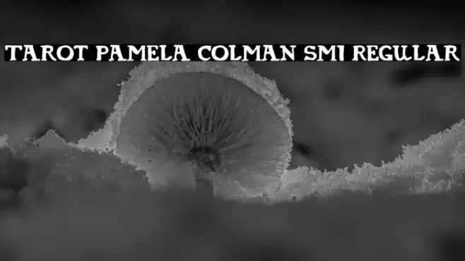 Tarot Pamela Colman Smi Regular Font examples