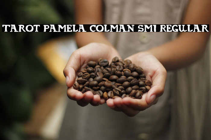 Tarot Pamela Colman Smi Regular Example 3