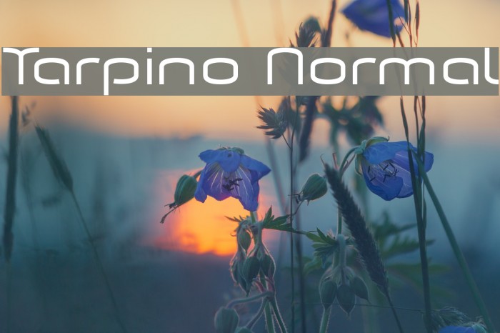 Tarpino Normal Example 1