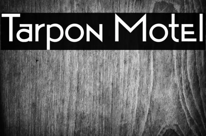 Tarpon Motel Font examples