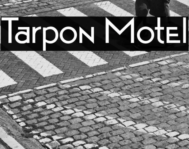 Tarpon Motel Font examples