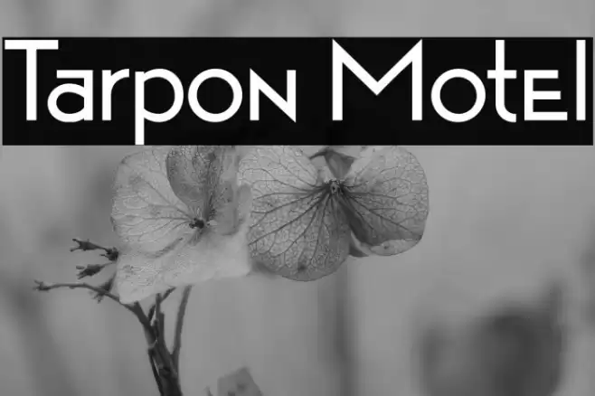 Tarpon Motel Font examples
