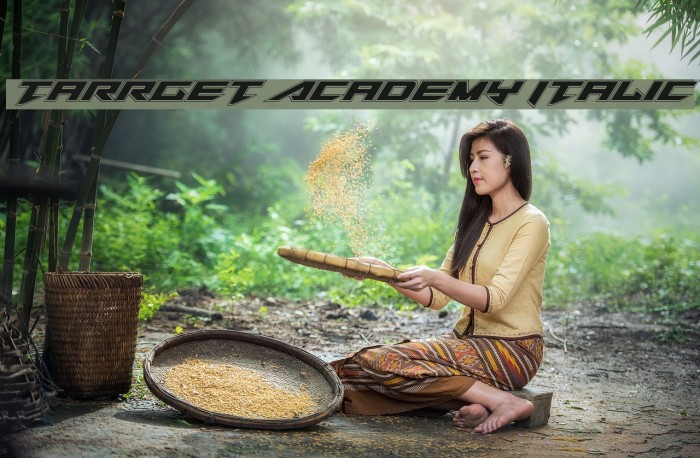 Tarrget Academy Italic Example 2