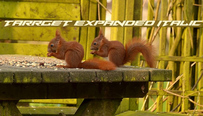 Tarrget Expanded Italic Example 2