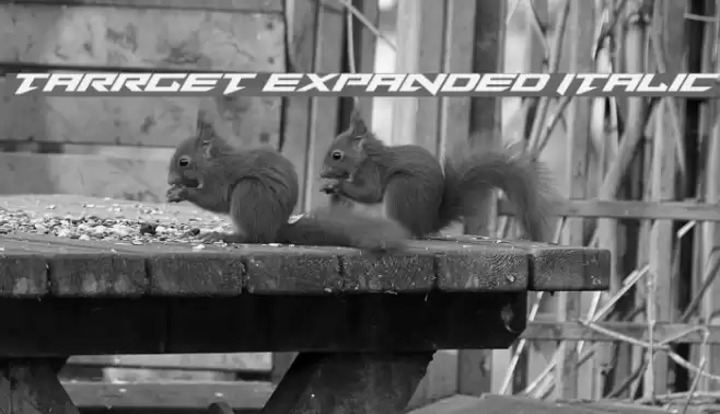 Tarrget Expanded Italic Font examples