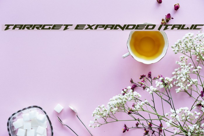 Tarrget Expanded Italic Example 3