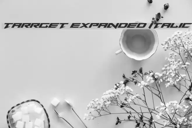 Tarrget Expanded Italic Font examples