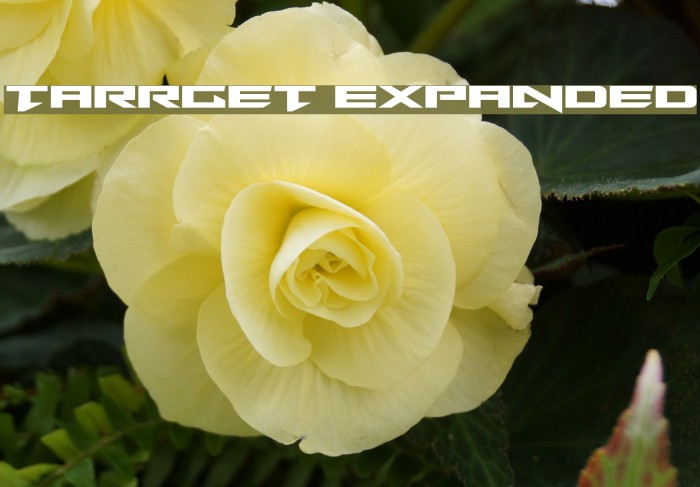 Tarrget Expanded Font examples