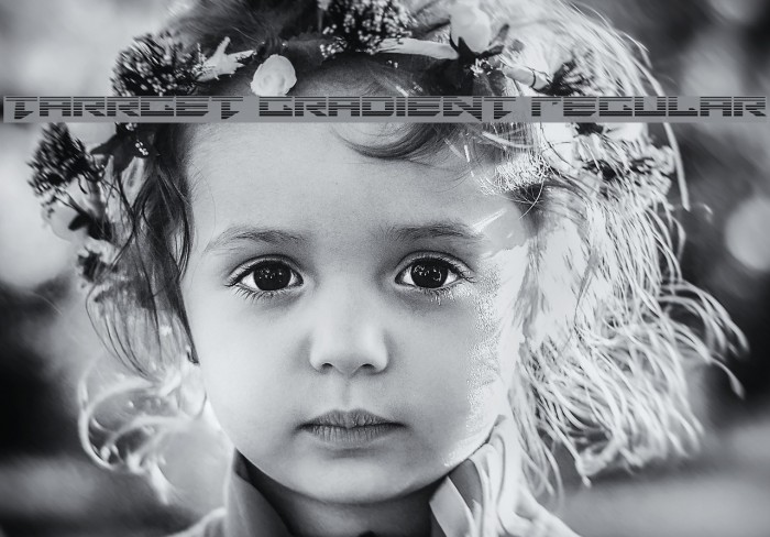 Tarrget Gradient Regular Example 1