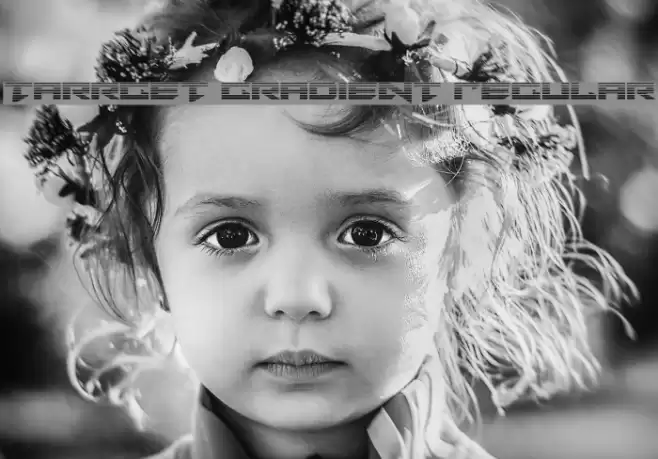 Tarrget Gradient Regular Font examples