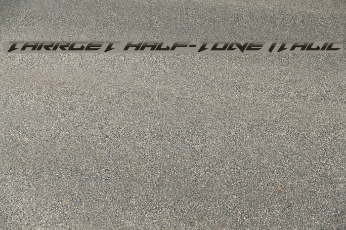 Tarrget Half-Tone Italic Font examples