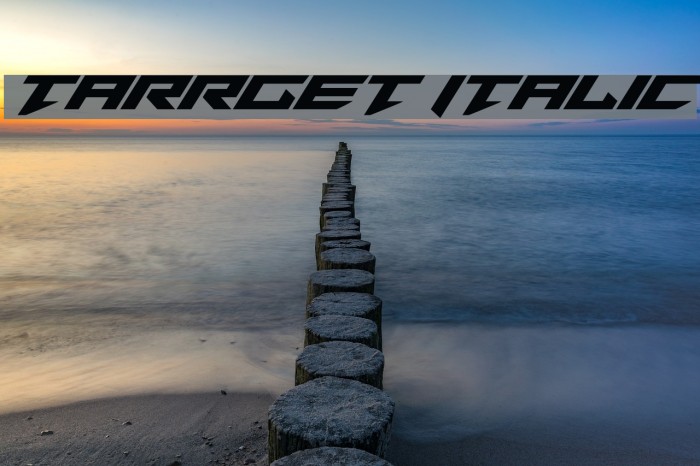 Tarrget Italic Example 1