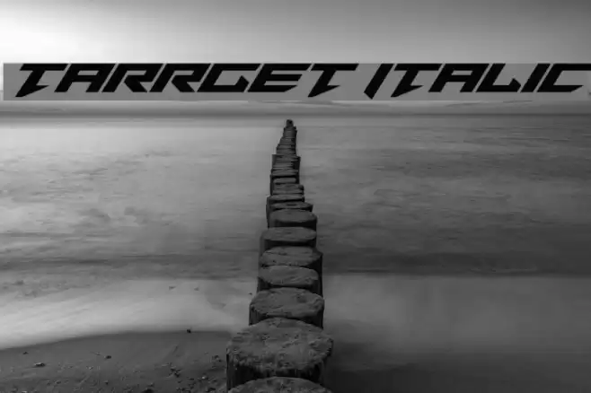 Tarrget Italic Font examples